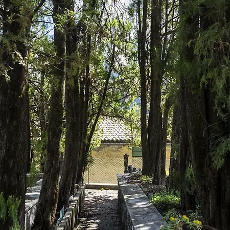Casa Angiolina - Holidays - Dolce Letargo * Morcote